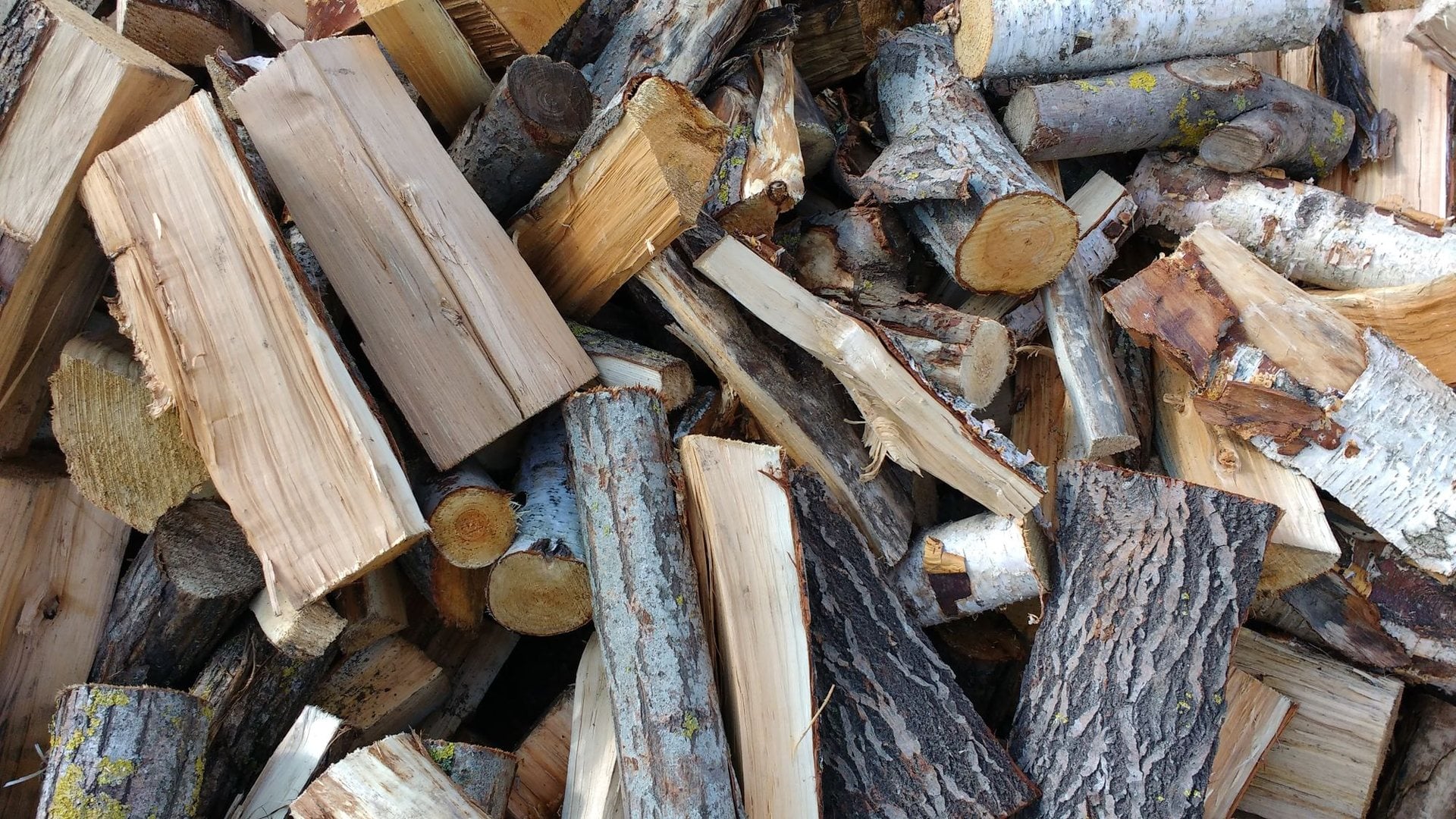 Mur de bûches de feuillus vues de bout